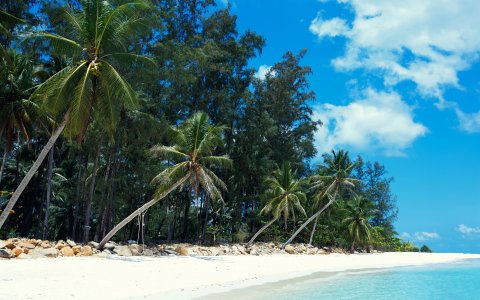 Tajlandia Koh Phangan Malibu Beach (3).jpg